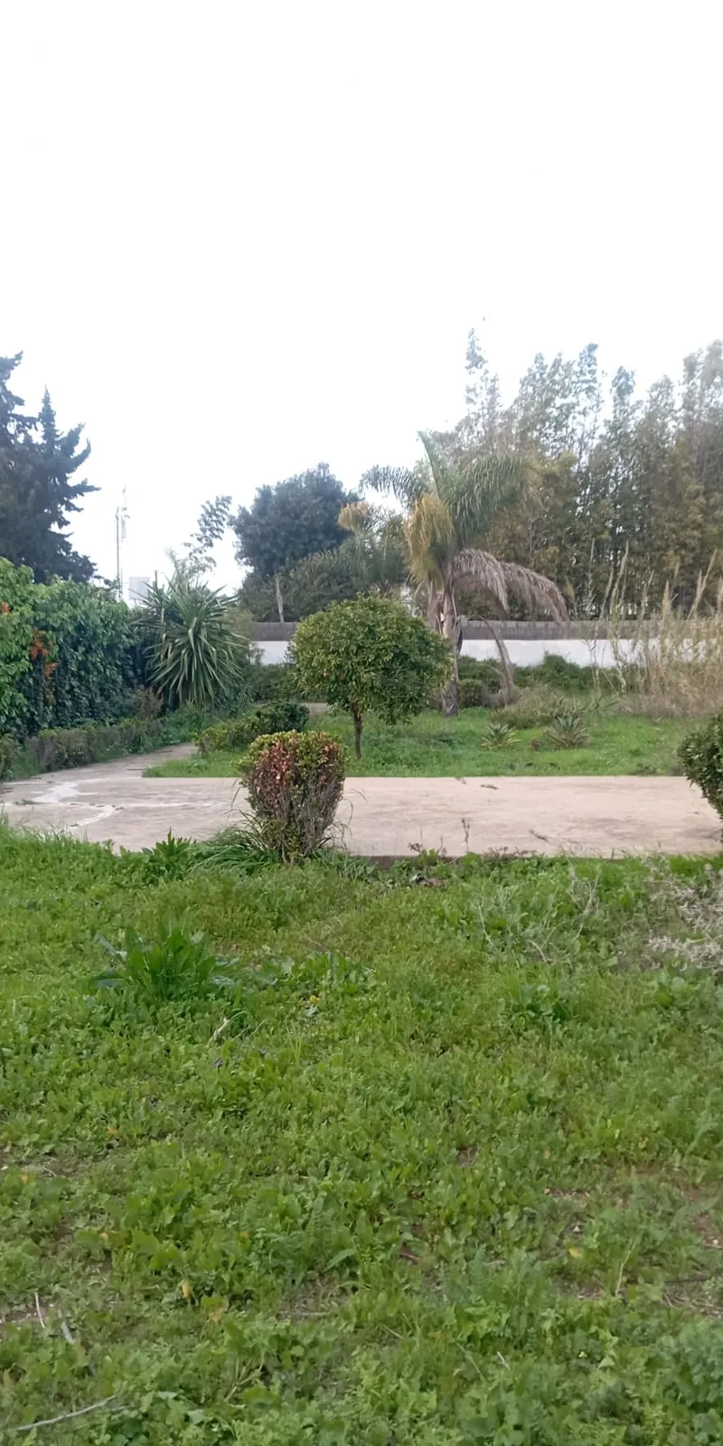 vente une maison à souissi Bir Kacem