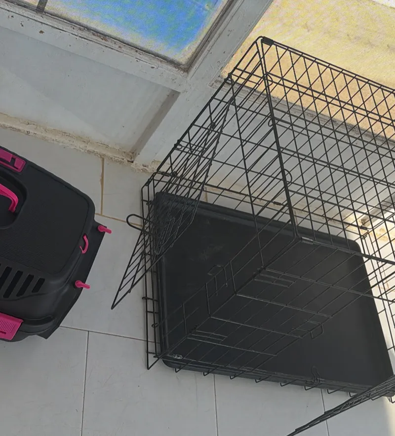 Cage pour chien 