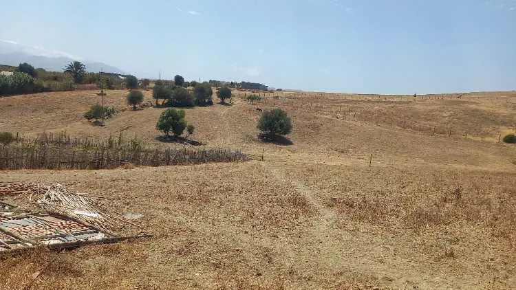 Terain agricole à vendre