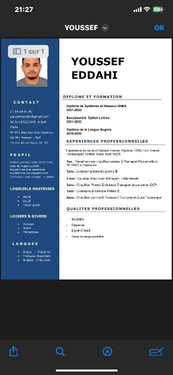 Chauffeur Professionnel Permis B & D