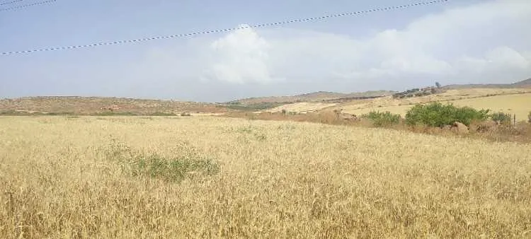TERRAIN AGRICOLE 2Ha