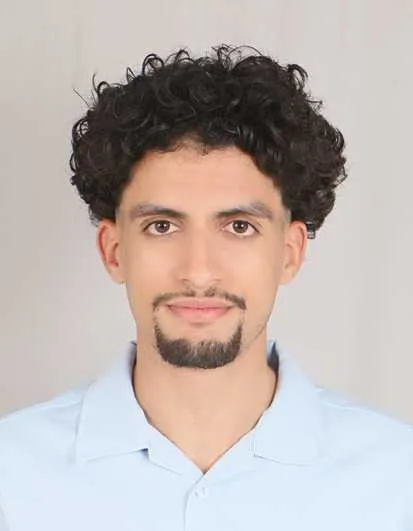 Ingénieur informatique