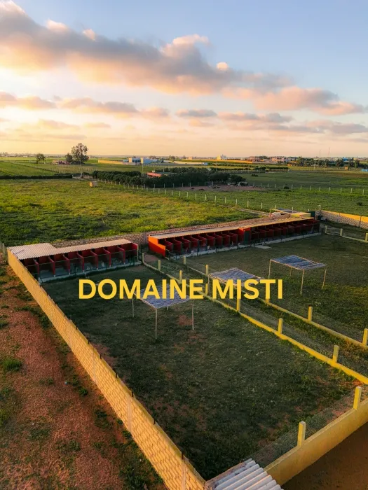 Pension / Hôtel pour chiens PRO