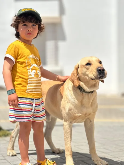 Labrador