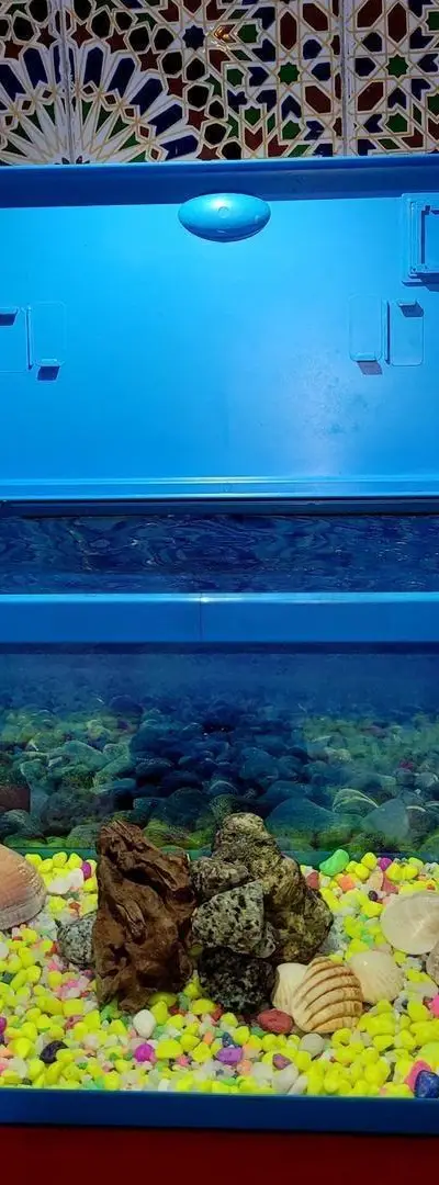 Aquarium