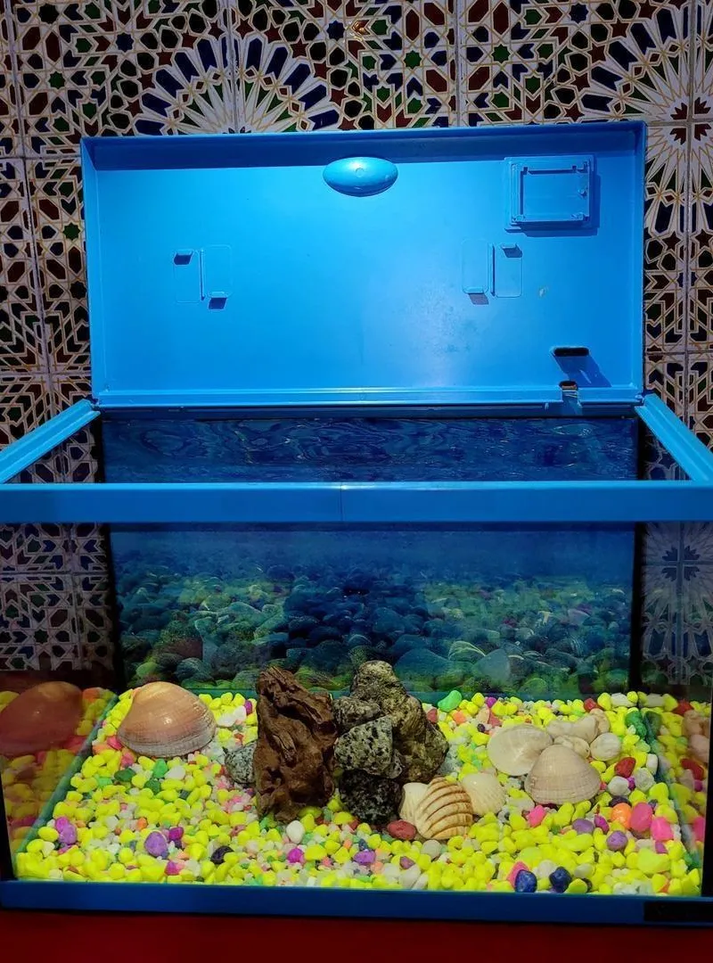 Aquarium
