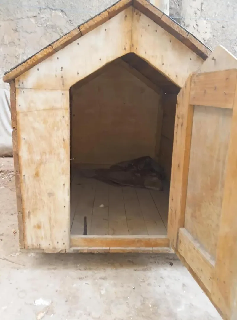 Maisonnette pour chien à vendre