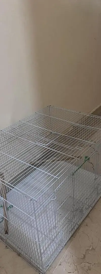Cage pour oiseaux