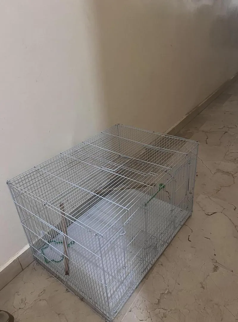 Cage pour oiseaux