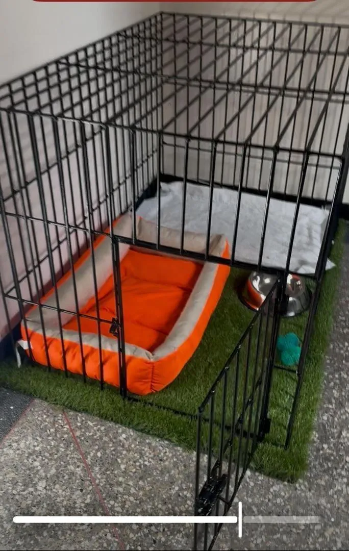 Cage pour chien Rottweiler spacieuse (en fer)