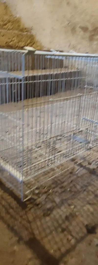 Cage à oiseaux