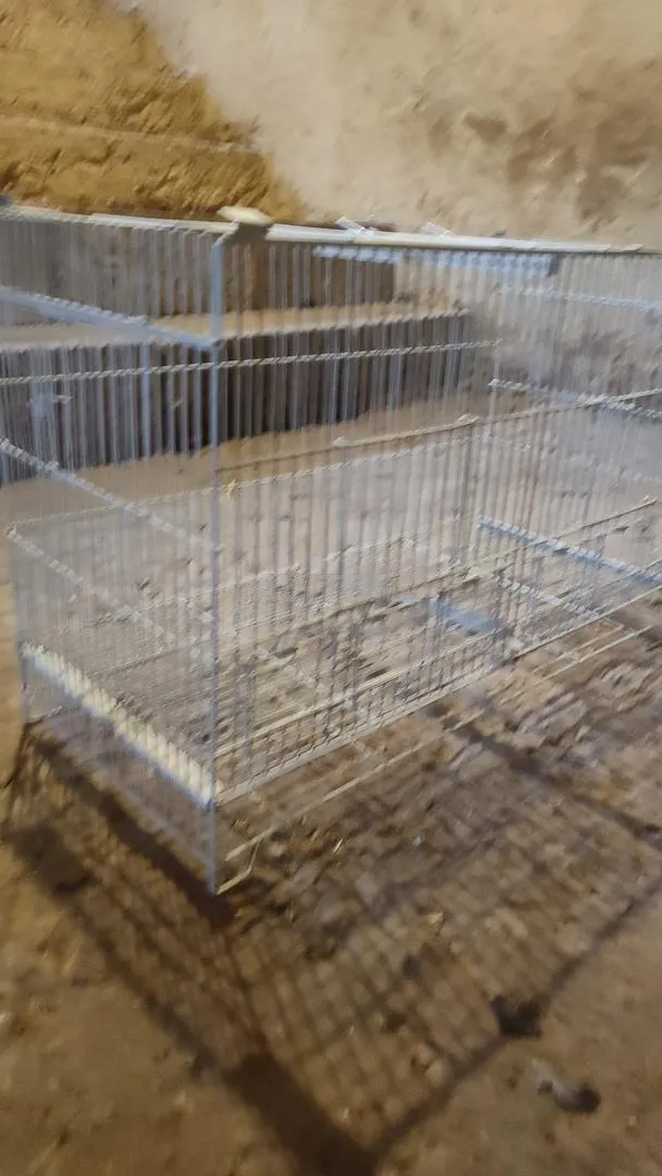 Cage à oiseaux