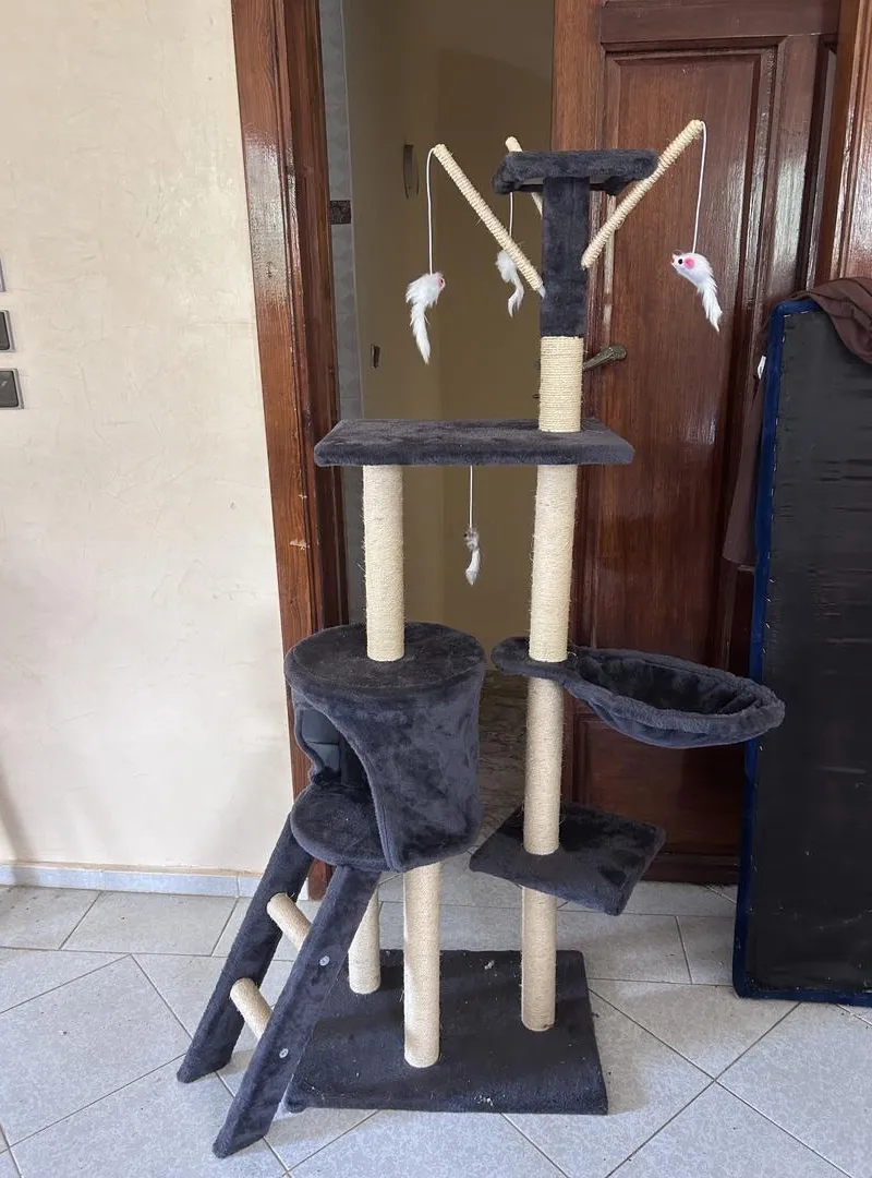 Grand arbre à chat