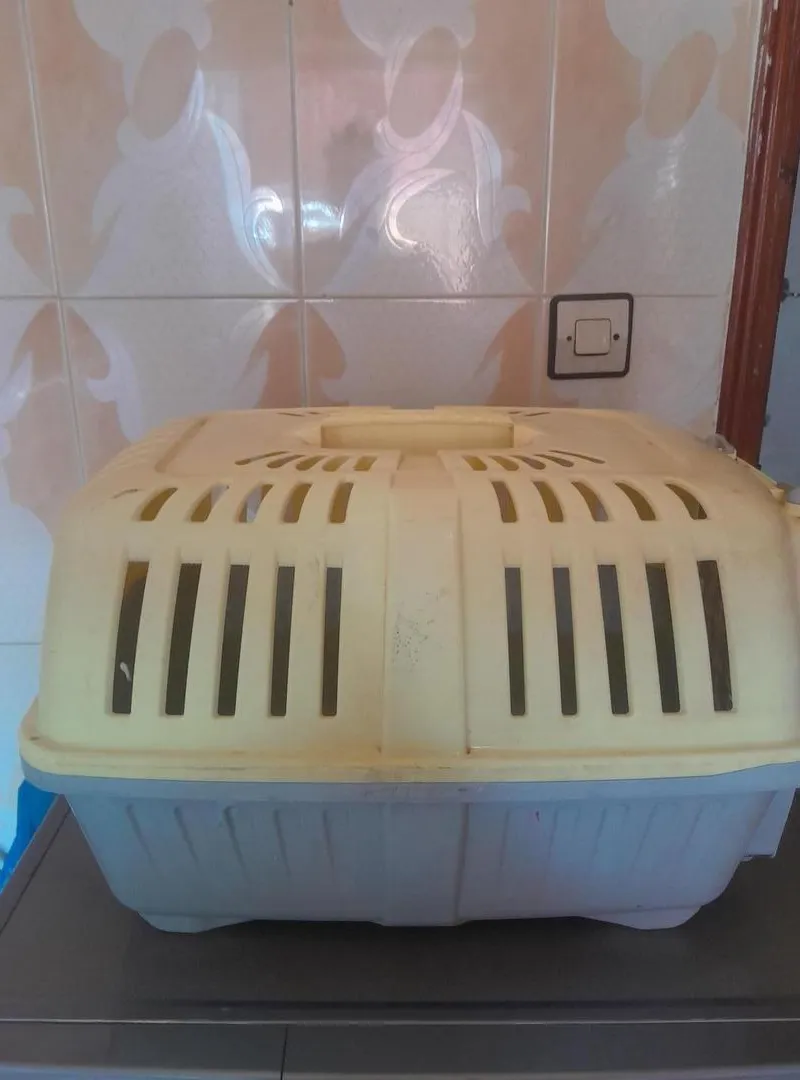 Cage pour chat d'occasion en bon état