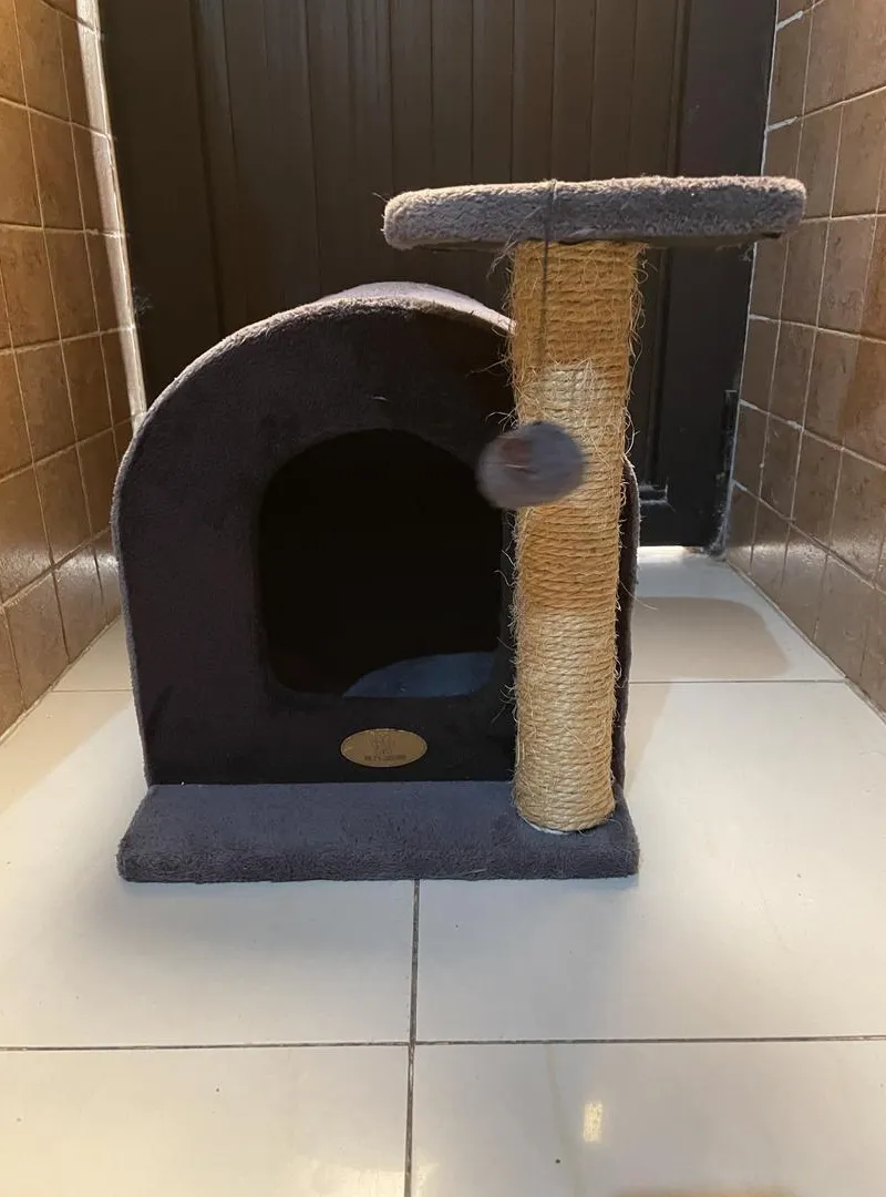 Maison pour Chat 3-en-1