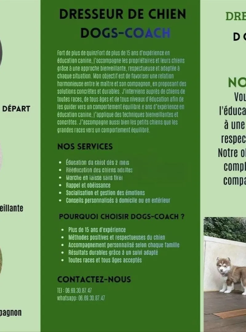 Dresseur éducateur des chiens