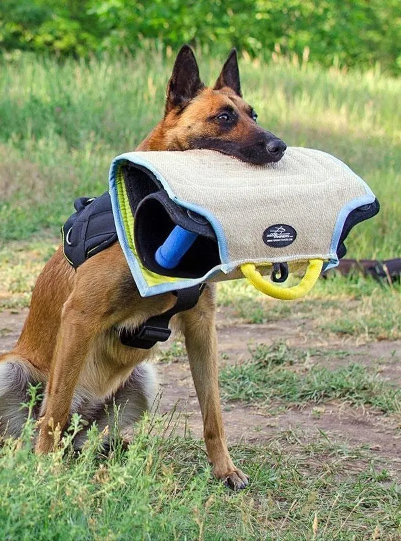 dresseur de chien