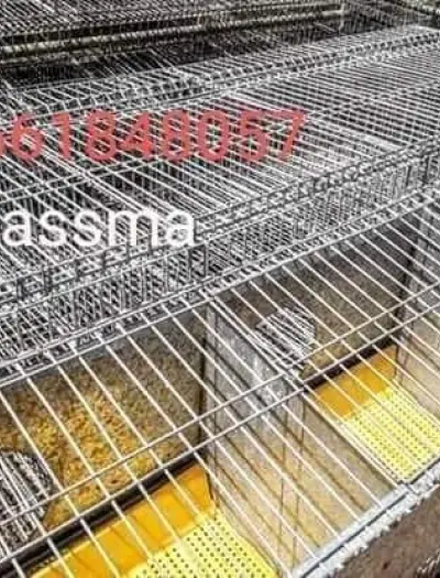 Vente cage lapin