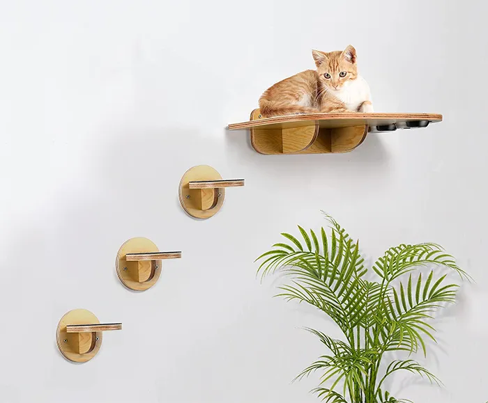 Étagères murales d'escalade pour chat