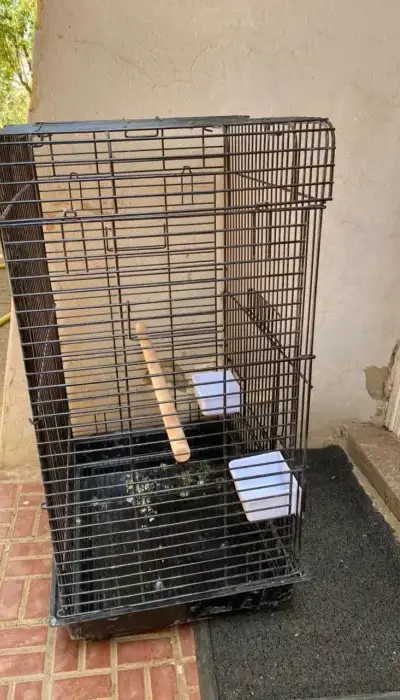 Cage perroquet