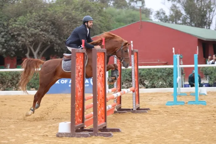 Cheval barb