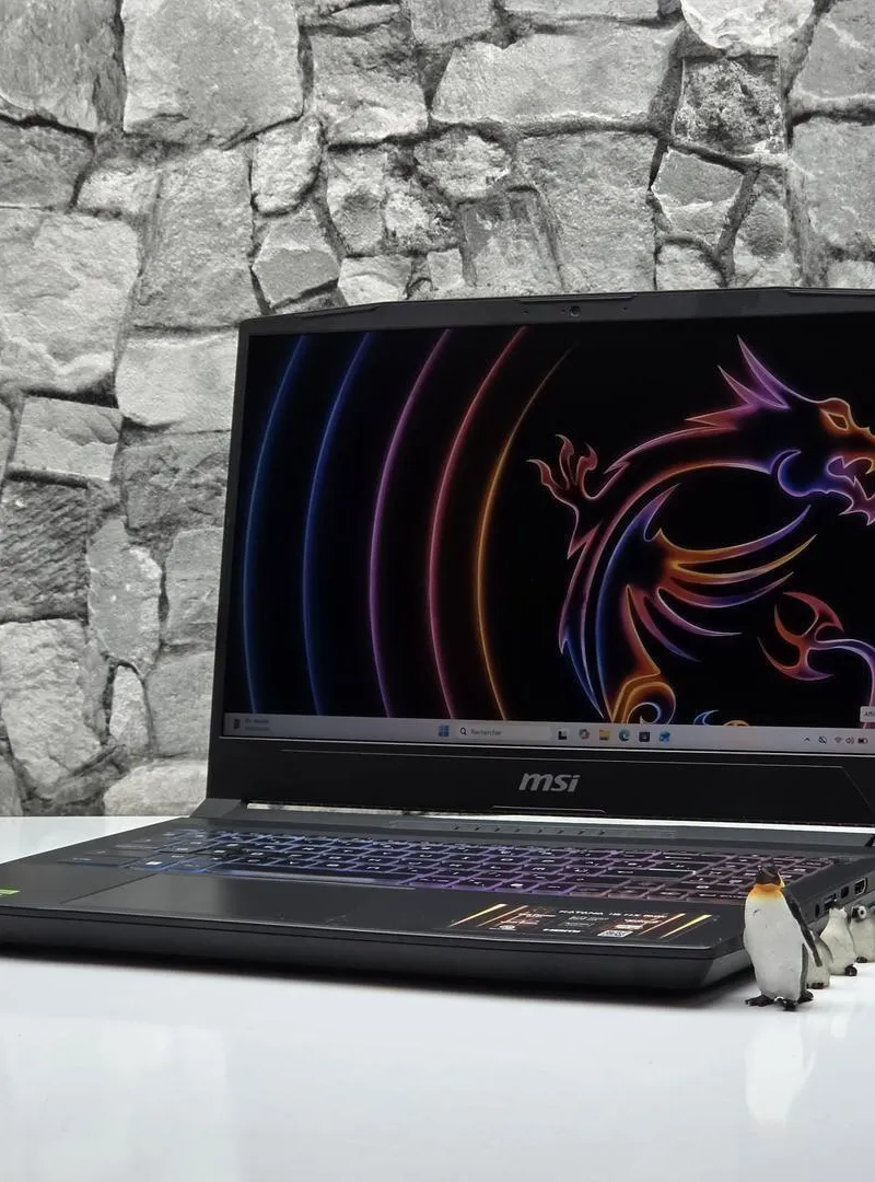 MSI Katana 15 HX / i9 14900HX / RTX 5060