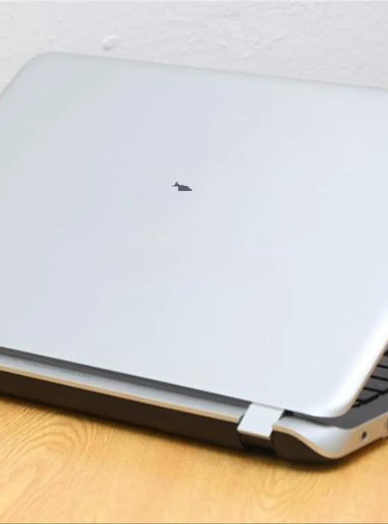 HP i5 professionnel RAM 8 disque SSD écran 15