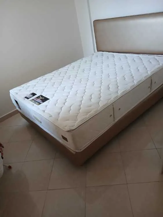 Lit Simmons Beautyrest