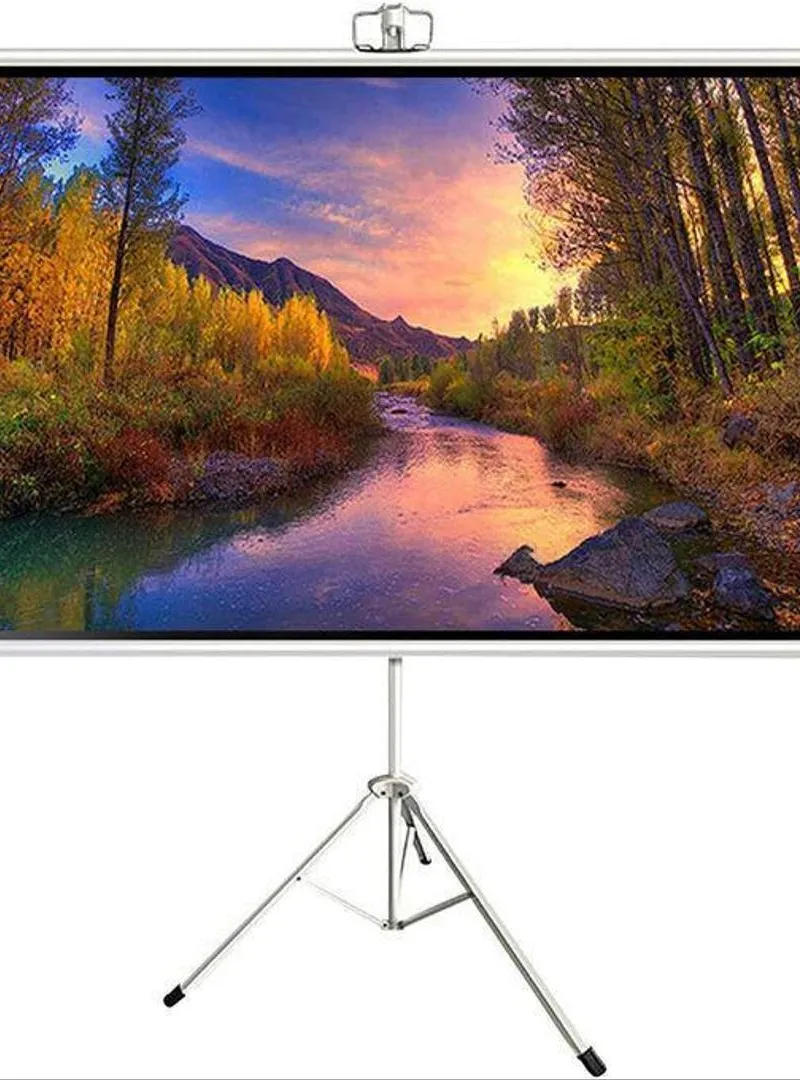 Écran de Projection Portable Support Réglable 2x2m