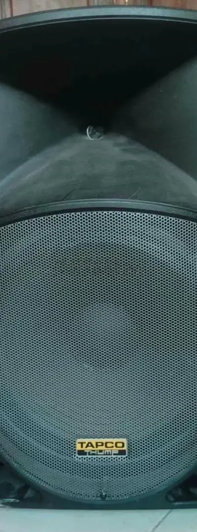 2 enceintes de 15 pouces amplifiées