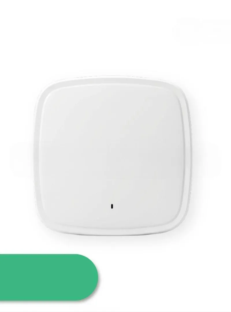 Cisco Catalyst 9130AXE Access Point (C9130AXE-E)