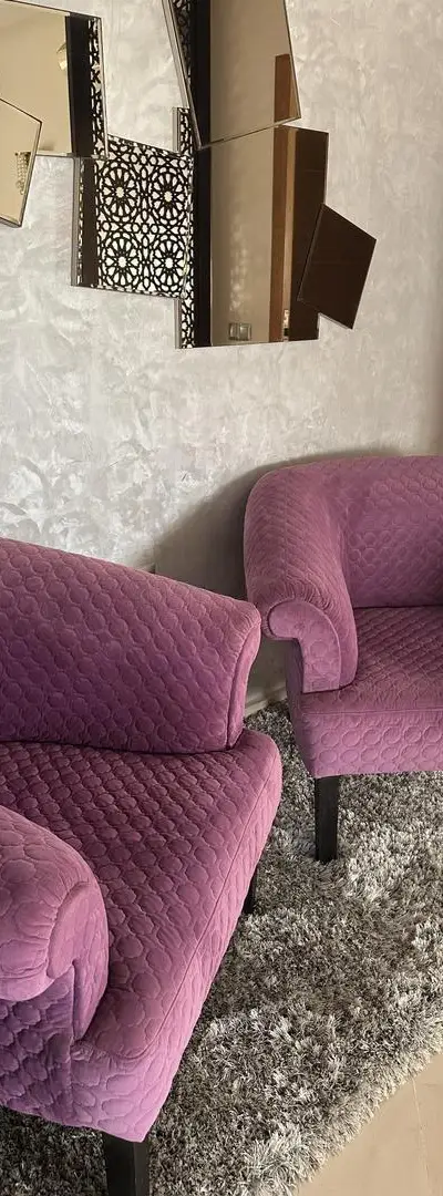 Fauteuils/Chaises de Salon