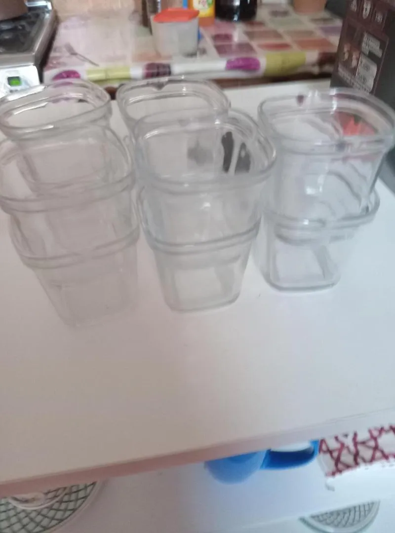 Vends yaourtière