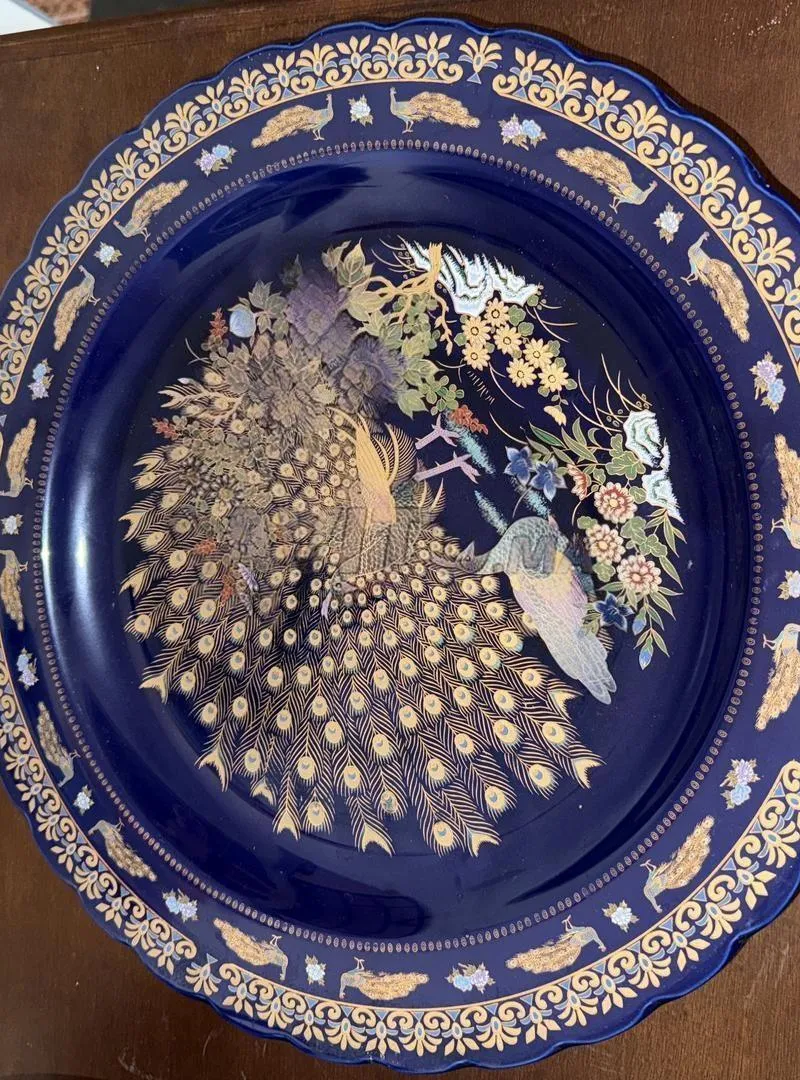 Paon peacock à vendre