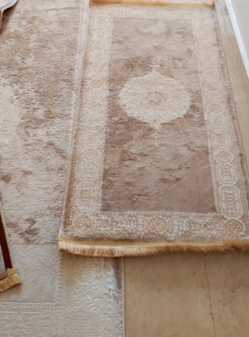 Tapis 3.50/1.80 et petit 80/1.50