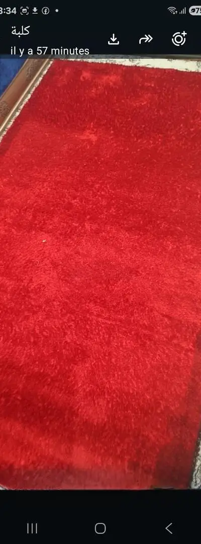 Tapis bien 2.50 long 1.50 large