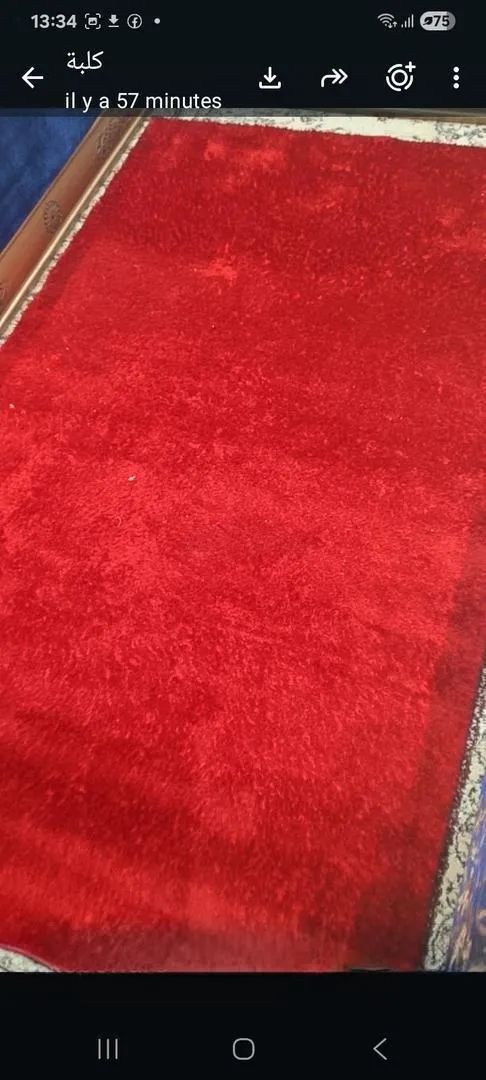 Tapis bien 2.50 long 1.50 large