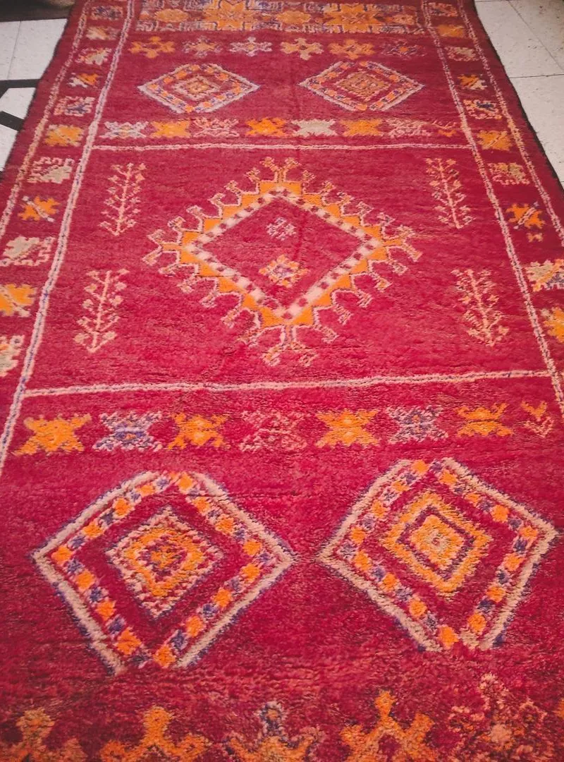 Tapis 5m sur 2m