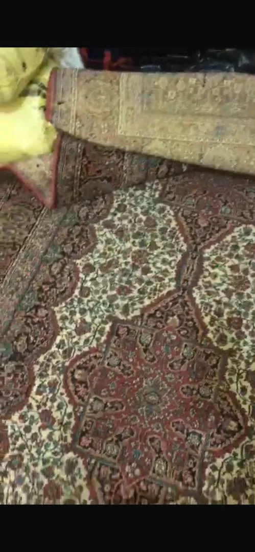Tapis pur et grand