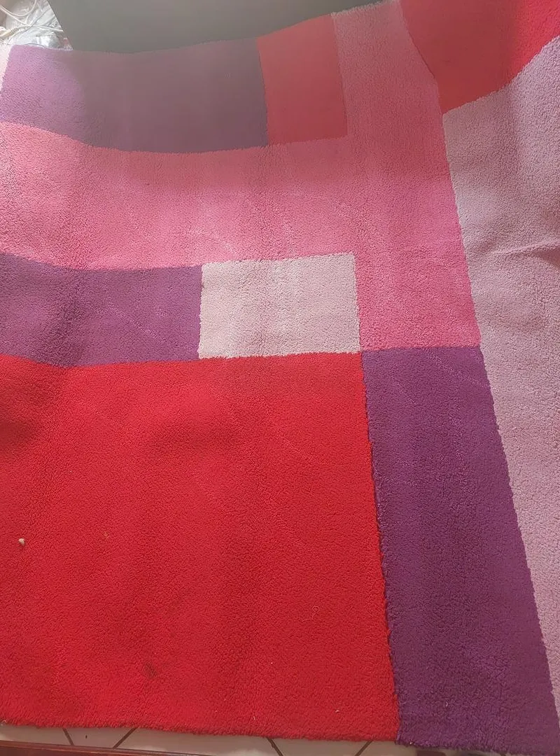 Tapis de salon ou de chambre en bon état