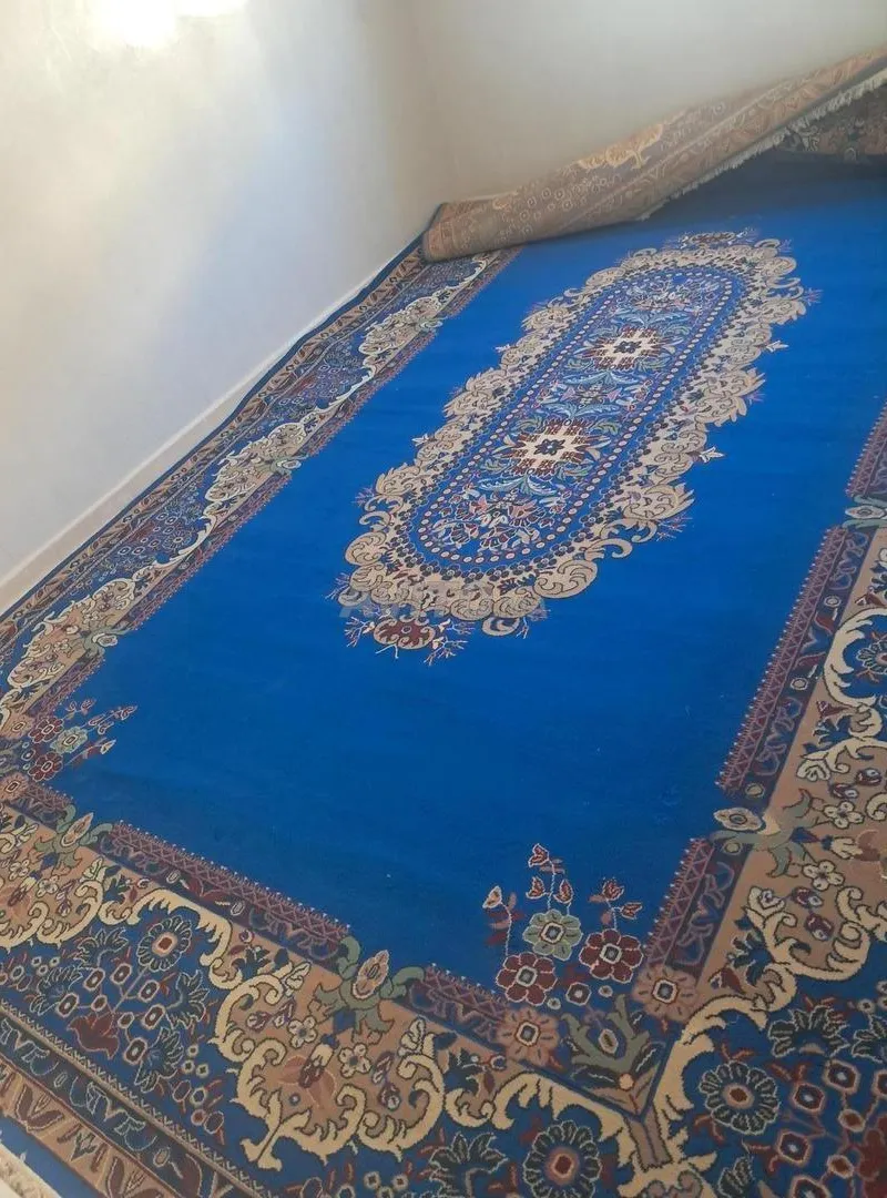 Tapis de salon 5m x 3m