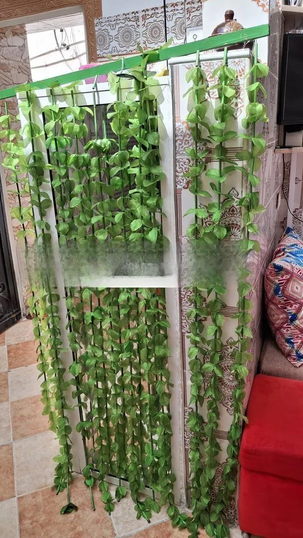 rideau de verdure
