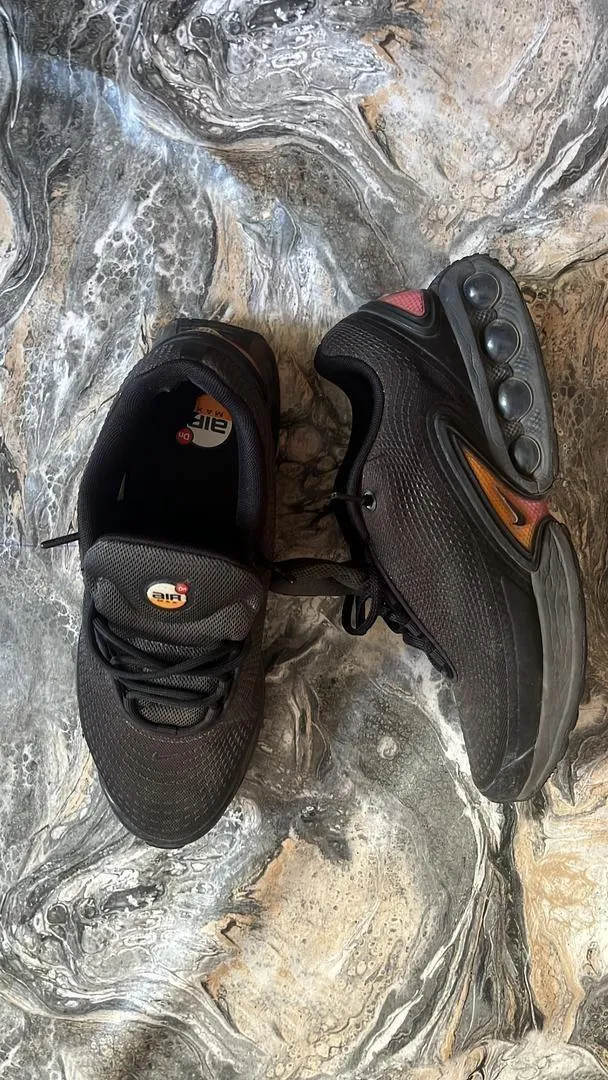 Air Max dn original