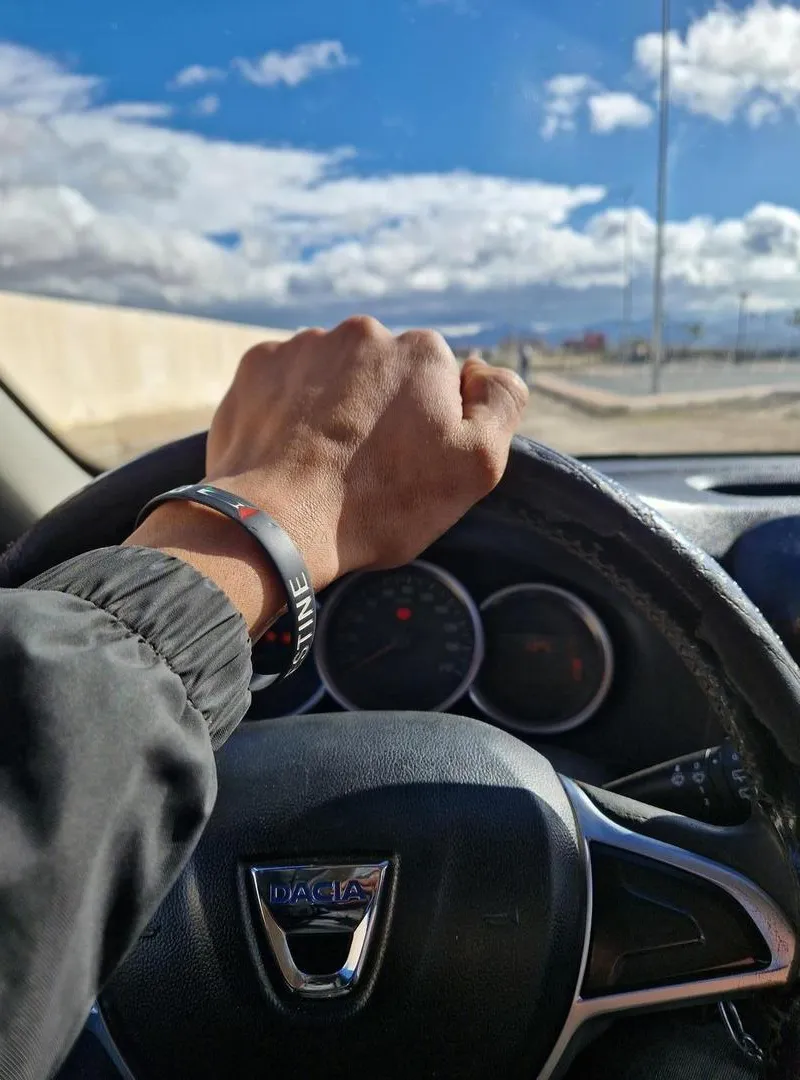 Chauffeur royal ou privé