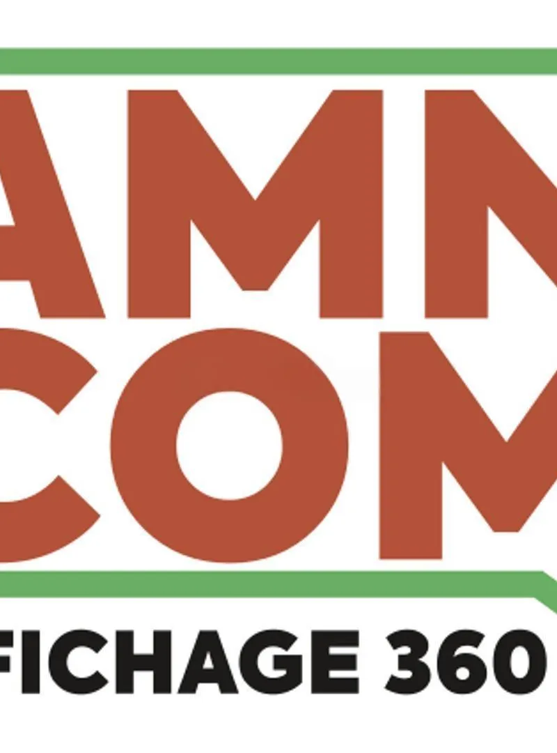 Assistante de Direction / AMN COM