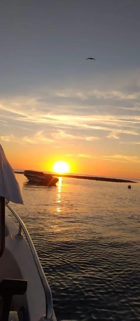 Balade en bateau