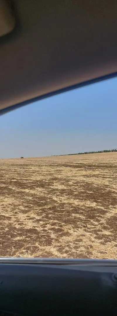 Terrain agricole 15 hectares à Ain Sbit Rommani
