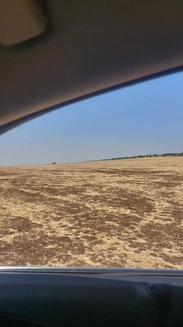 Terrain agricole 15 hectares à Ain Sbit Rommani
