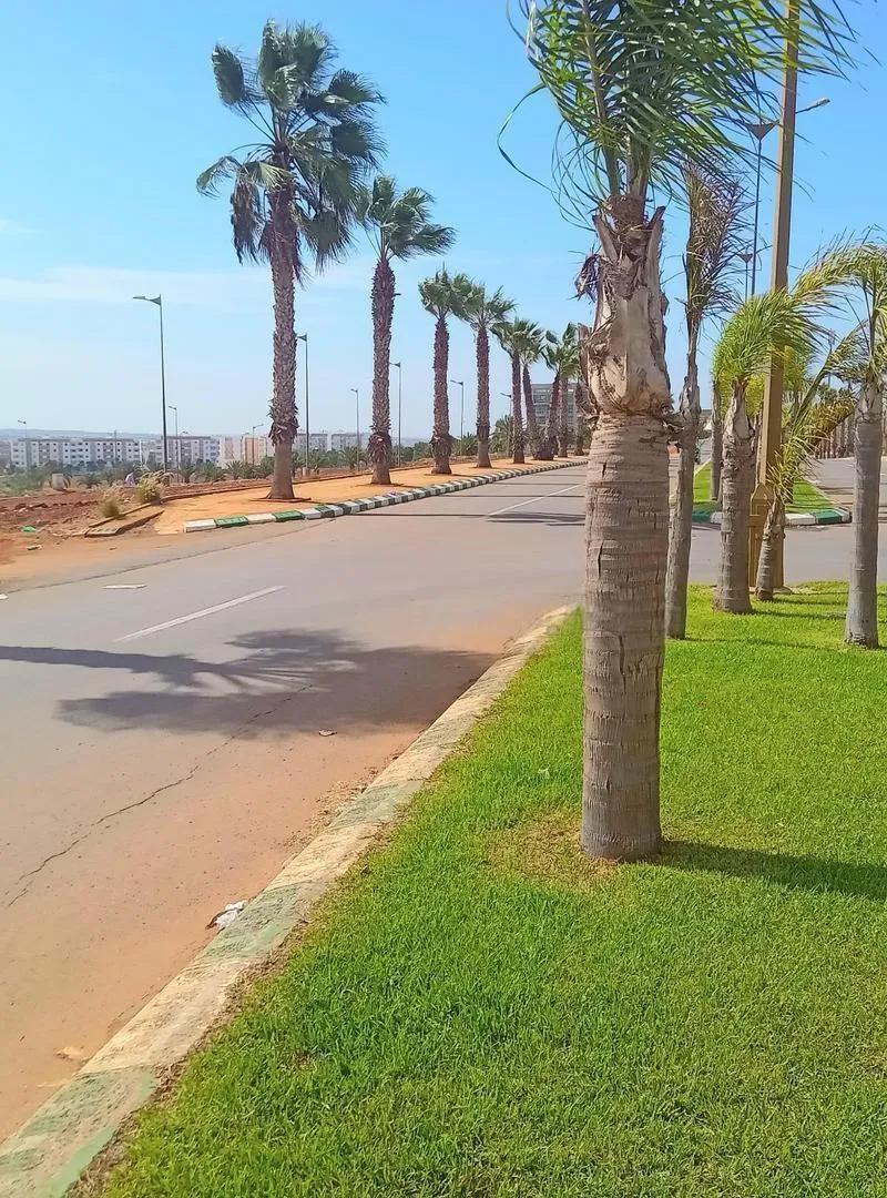 Terrain commercial Dalia Rue Principale