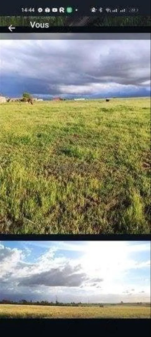 Terrain agricole enregistré d'un hectare avec puits